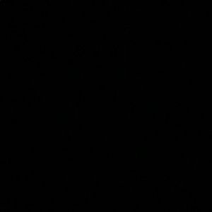 Meet your Posher, Acianna